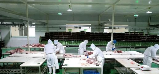 强链补链提质效 产销融合谋发展——甘肃甘州区沙井镇以“牛”产业助推乡村振兴